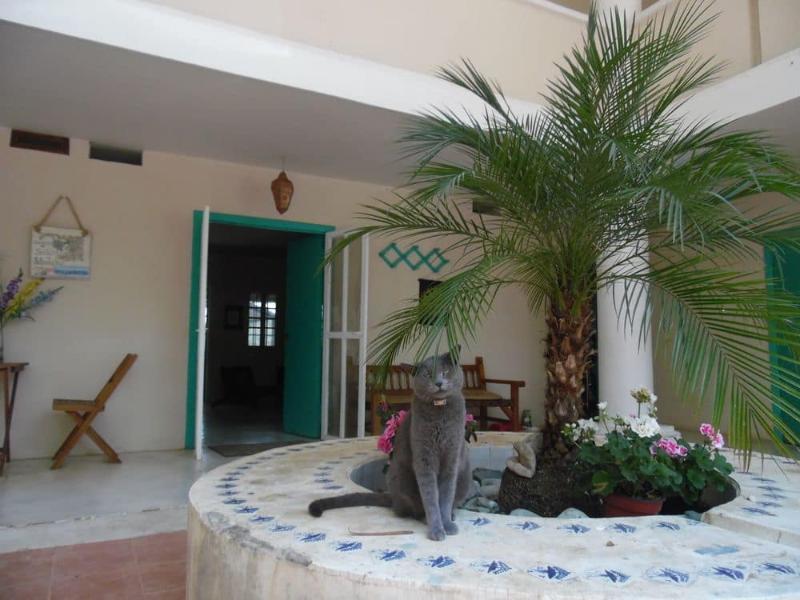 Posada James San Luis Potosi Luaran gambar